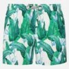 Tropical Leaf Print Mid-length Swim Shorts -MC2 Saint Barth Shop UID GUS0001ARIE01 MAN SWIMSHORT GREEN MC2 MC2 20250711083505 5