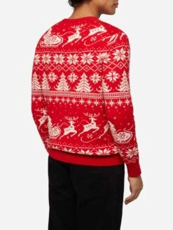 MC2 Saint Barth Fairs Isle Sweater Heron With Jingle Balls Jacquard 8 MC2 Saint Barth Fairs Isle Sweater Heron With Jingle Balls Jacquard -MC2 Saint Barth Shop UID HER000210786E MAN KNITWEAR RED XMAS 0 20250107183502 3