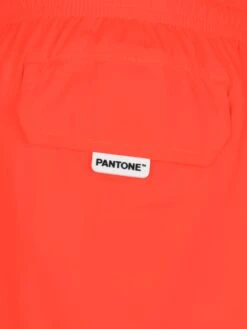 MC2 Saint Barth Jean Lighting Pantone Lightweight Fluo Orange Swim Shorts| PANTONE® SPECIAL EDITION 7 MC2 Saint Barth Jean Lighting Pantone Lightweight Fluo Orange Swim Shorts| PANTONE® SPECIAL EDITION -MC2 Saint Barth Shop UID JEA001201632H BOY SWIMSHORT ORANGE PANTONE 03