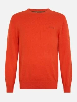 MC2 Saint Barth Man Orange Cashmere Blend Crewneck Sweater Regent 9 MC2 Saint Barth Man Orange Cashmere Blend Crewneck Sweater Regent -MC2 Saint Barth Shop UID REGE00300829G MAN KNITWEAR ORANGE 20241023093500 4