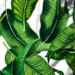Banana Leaves Print Mid-length Swim Shorts -MC2 Saint Barth Shop banana leaves01 4