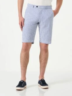 Blue Striped Bermuda Shorts