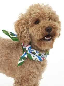 Foulard With Lucky Print 8 Foulard With Lucky Print -MC2 Saint Barth Shop dr dog