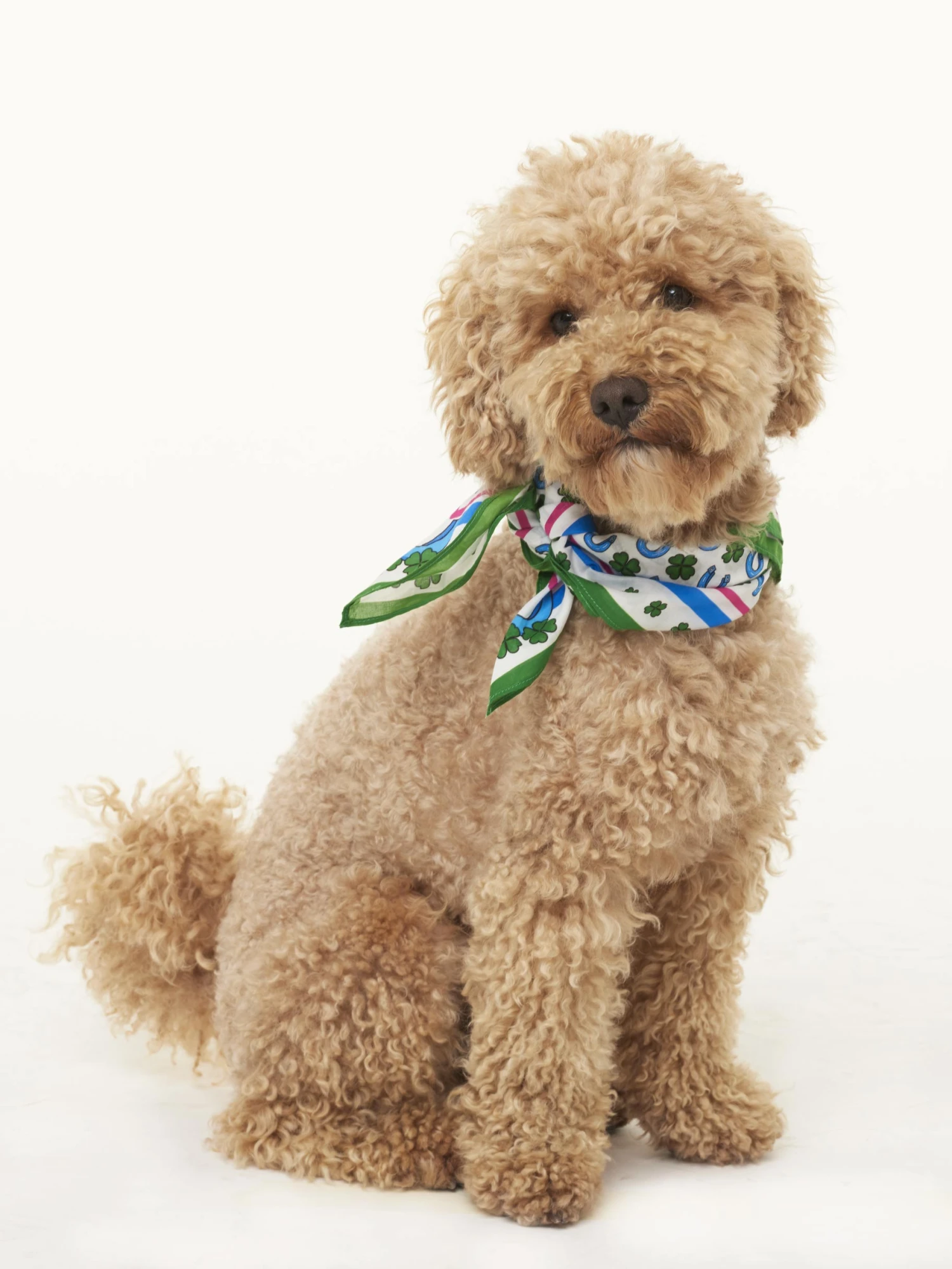 Foulard With Lucky Print 3 Foulard With Lucky Print