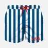 MC2 Saint Barth Boy Swim Shorts With Navy Blue Stripes