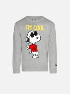 Snoopy Cool Boy Grey Sweater - Special Edition