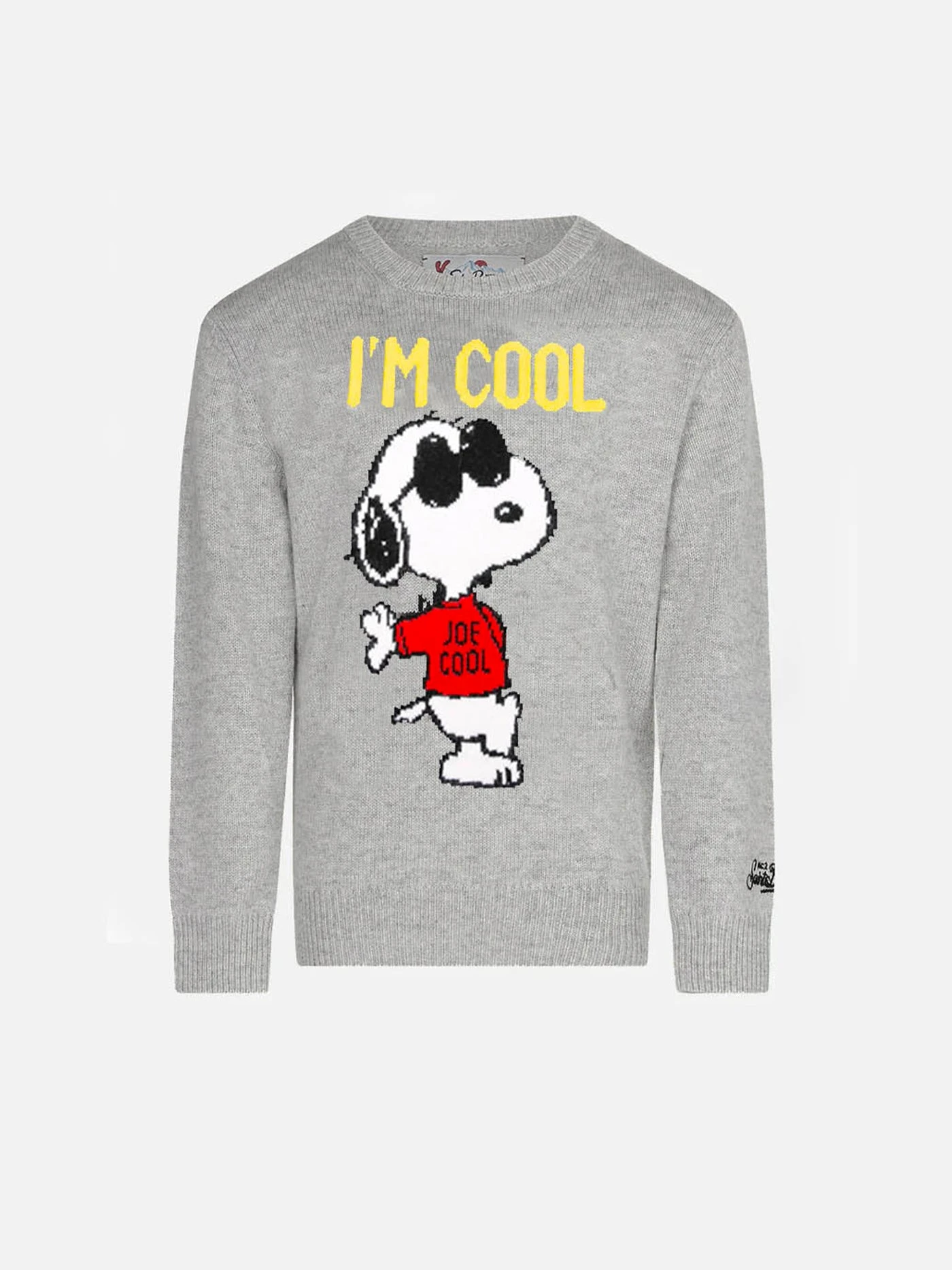 Snoopy Cool Boy Grey Sweater - Special Edition 3 Snoopy Cool Boy Grey Sweater - Special Edition
