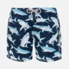 Boy Swim Shorts Shark Print