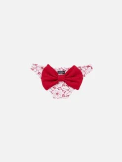 Girl Embroidered Swim Briefs With Red Bow