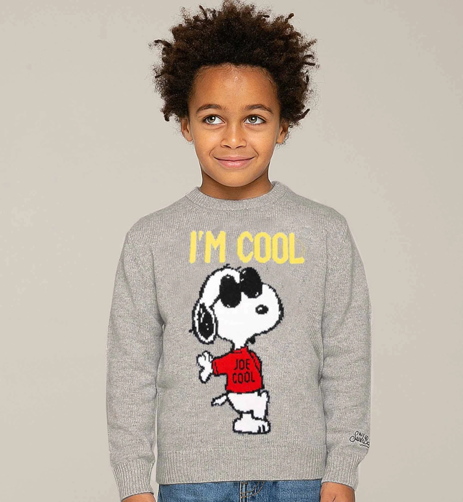 Snoopy Cool Boy Grey Sweater - Special Edition 5 Snoopy Cool Boy Grey Sweater - Special Edition - Image 3