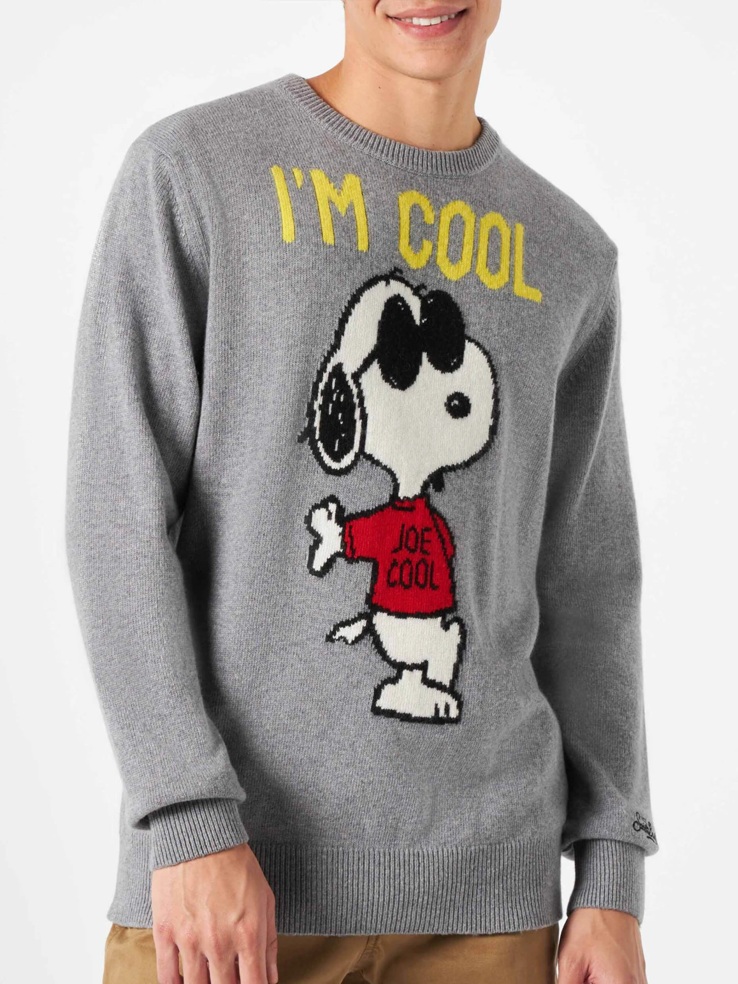 Man Sweater With Grey Rock Snoopy | SNOOPY - PEANUTS™ SPECIAL EDITION 3 Man Sweater With Grey Rock Snoopy | SNOOPY - PEANUTS™ SPECIAL EDITION