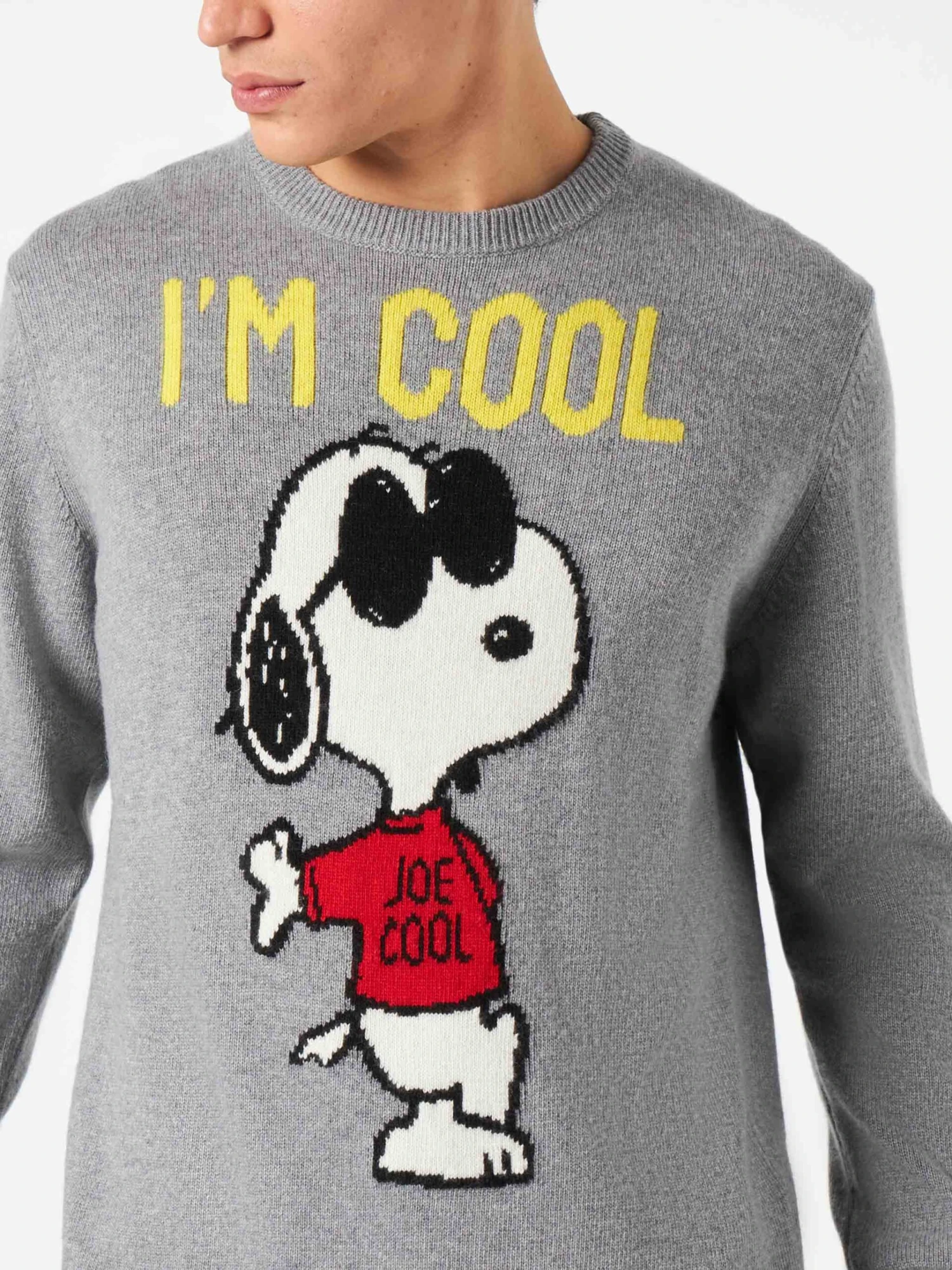 Man Sweater With Grey Rock Snoopy | SNOOPY - PEANUTS™ SPECIAL EDITION 4 Man Sweater With Grey Rock Snoopy | SNOOPY - PEANUTS™ SPECIAL EDITION - Image 2