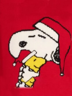 MC2 Saint Barth Kid Crewneck Sweater With Christmas Snoopy Print| SNOOPY - PEANUTS™ SPECIAL EDITION 7 MC2 Saint Barth Kid Crewneck Sweater With Christmas Snoopy Print| SNOOPY - PEANUTS™ SPECIAL EDITION -MC2 Saint Barth Shop merry snoopy boy sweater 3 1