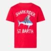 Red Boy's T-shirt Shark Rider St Barth Print